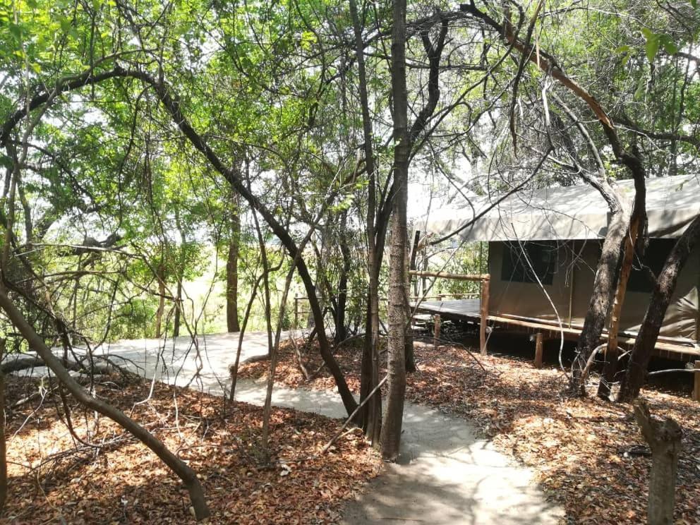 Askiesbos - Samochima Bush Camp Shakawe Eksteriør bilde