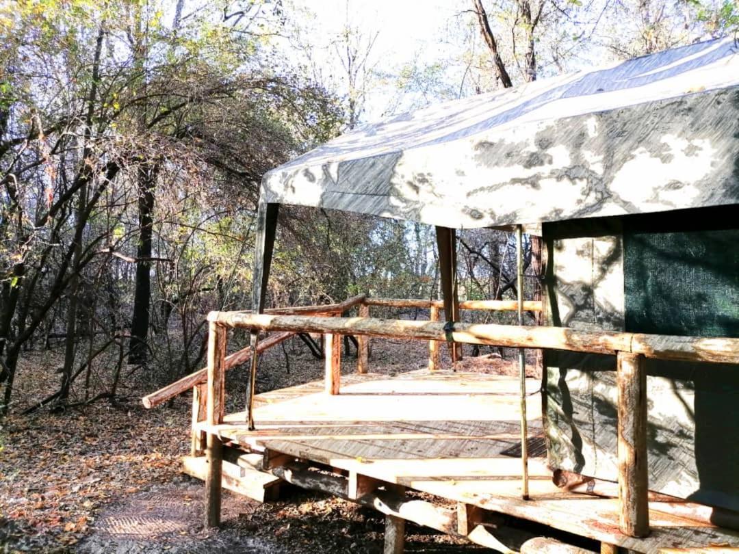 Askiesbos - Samochima Bush Camp Shakawe Eksteriør bilde
