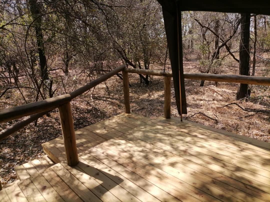 Askiesbos - Samochima Bush Camp Shakawe Eksteriør bilde