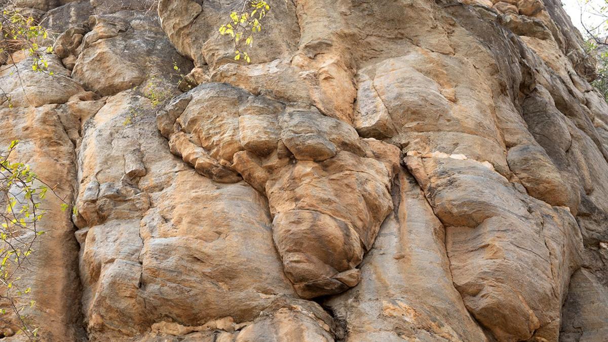 Askiesbos - Samochima Bush Camp Shakawe Eksteriør bilde